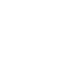 Brain Master