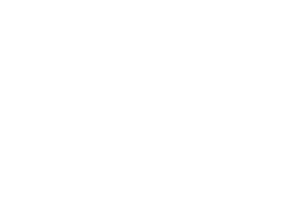 Brain Master | Growth Marketing Agency