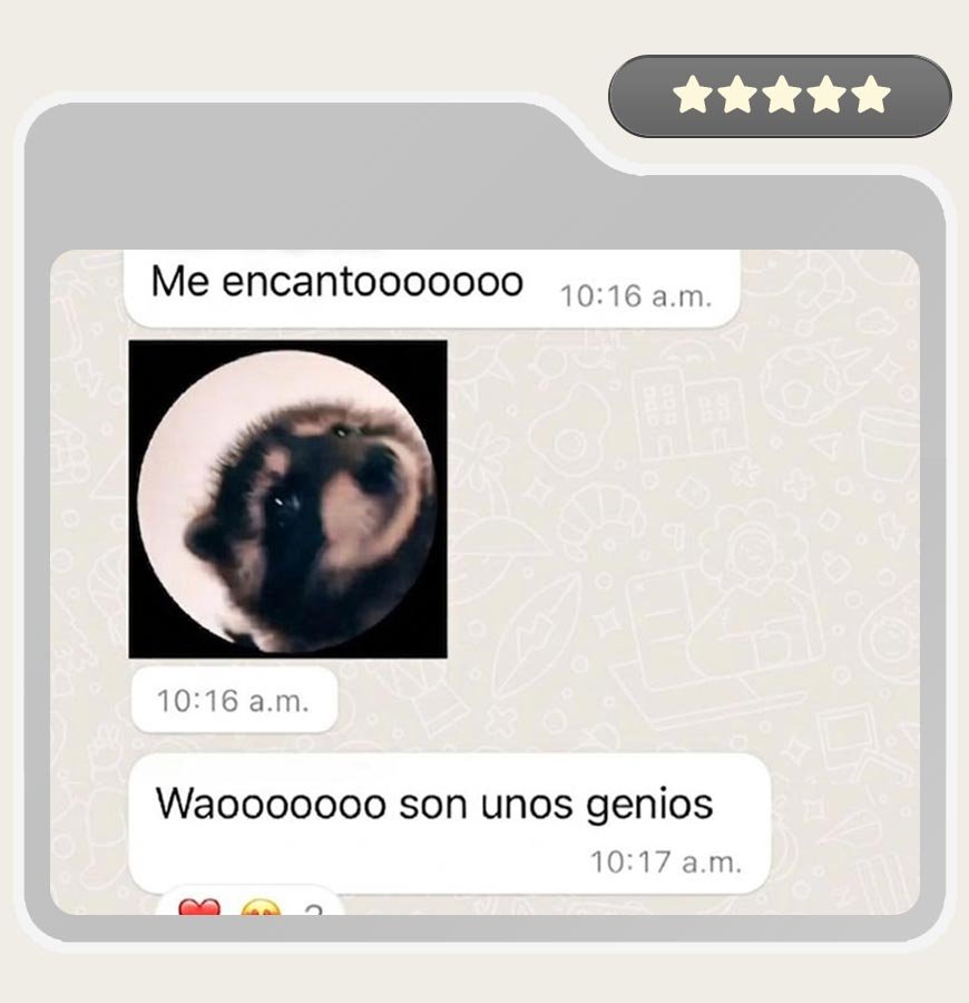 testimonio-32
